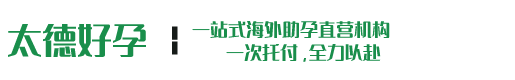 国外代生代怀代生孕机构